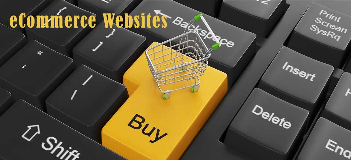 Best eCommerce Raipur